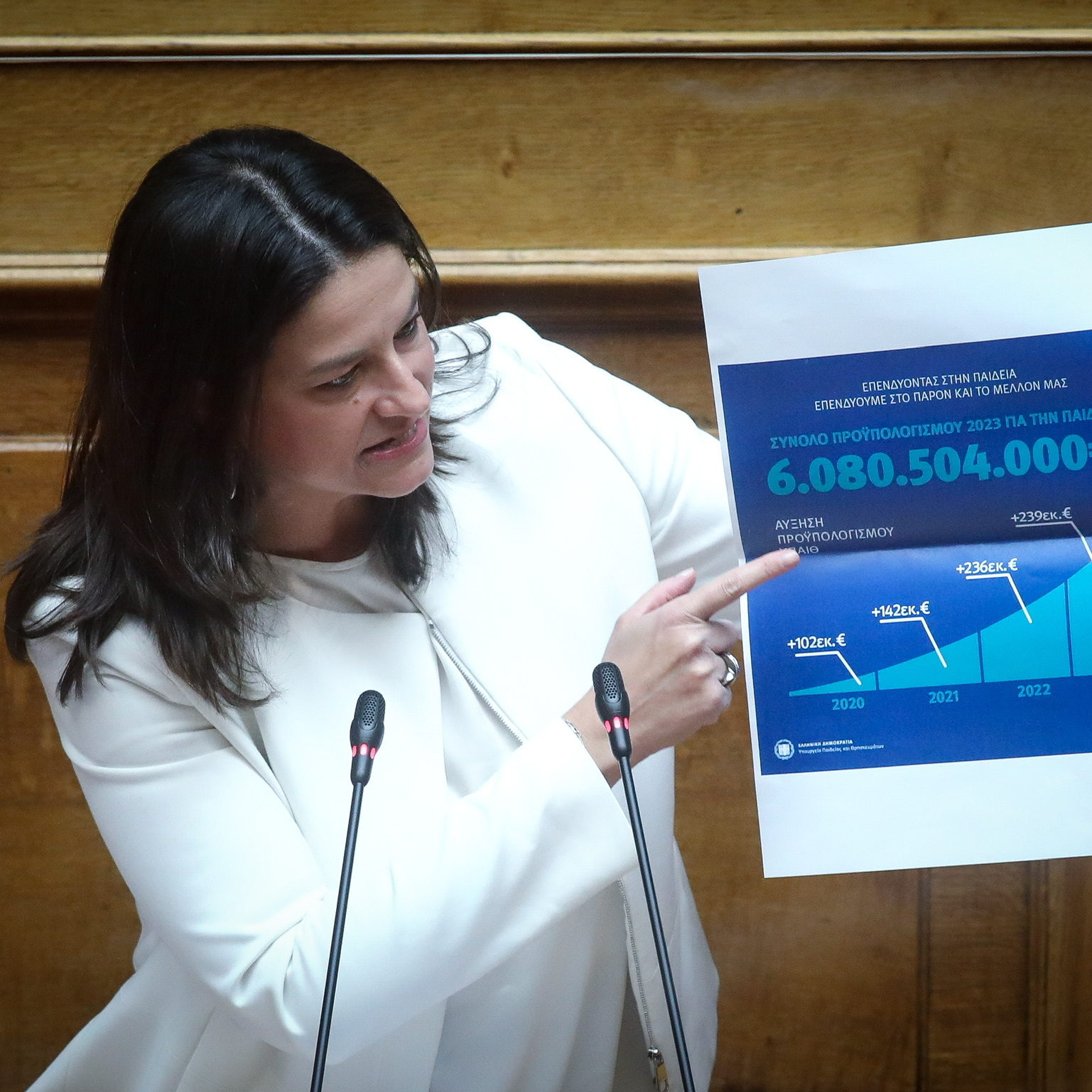 Κοινοβουλευτικό έργο και δραστηριότητα.